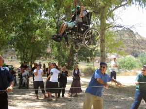 wheelchair-in-tree